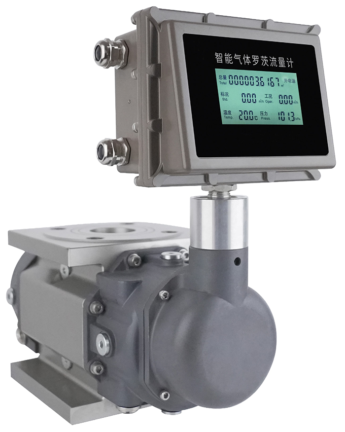 天然氣腰輪流量計產(chǎn)品圖片